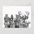 Recherche de desert animals cartes postales Désert