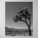 Recherche de joshua tree posters Montagnes