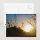 Recherche de soleil levant cartes postales Lever du soleil
