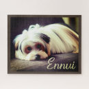 Recherche de yorkie puzzles Yorkshire terrier