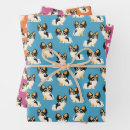 Recherche de chihuahua papier cadeau Chiot
