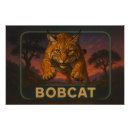 Recherche de lynx posters Nature