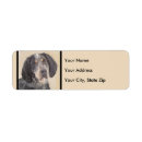 Recherche de bluetick Chien