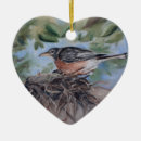 Recherche de oiseaux de merle ornements Faune