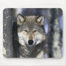 Recherche de loup tapis souris Extérieur