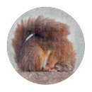 Recherche de humour animal planches à découper Animaux