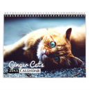 Recherche de chat de gingembre bureau fournitures Tabby