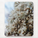 Recherche de magnolia tapis souris Ciel
