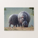 Recherche de faune puzzles Animal