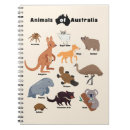 Recherche de kangourous carnets Animal australien