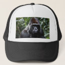 Recherche de de gorille casquettes Jungle