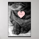 Recherche de minou rose posters Félin