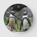 Recherche de oiseau noir et blanc horloges Faune