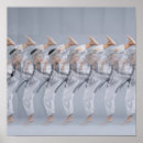 Recherche de illusion 3d posters Motif