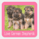 Recherche de chiens de berger autocollants Chiot