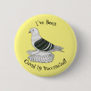 Recherche de pigeons badges Oiseau