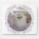 Recherche de poils tapis souris Animaux de compagnie
