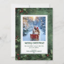 Recherche de gui noël cartes De photo