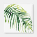 Recherche de botanique magnets Feuilles tropicaux