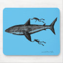 Recherche de dessin requin tapis souris Pour tous