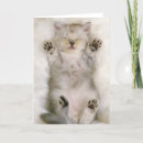 Recherche de pelucheux vœux cartes Animal