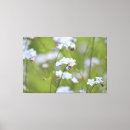 Recherche de noeuds impressions sur toile Rose