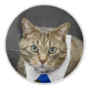 Recherche de chats mignons boutons et poignées de porte Animal familier