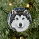 Recherche de alaskan malamute ornements Noël