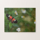 Recherche de nature puzzles Fleurs