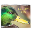 Recherche de oiseau calendriers Canards