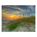 Recherche de avoine posters Photographie