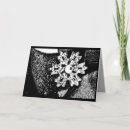 Recherche de flèche noire vœux cartes Hiver