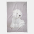Recherche de westie cuisine linges Chien
