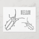 Recherche de insectes mignons cartes postales Pour enfants
