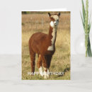 Recherche de alpaca anniversaire cartes Animal