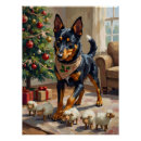 Recherche de berger australien posters Chien de berger