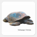 Recherche de galapagos autocollants Animal