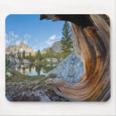 Recherche de ansel adam électronique Forêt nationale d'inyo