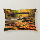 Recherche de crique coussins Nature
