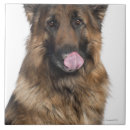 Recherche de vue face carreaux Regarder l'appareil photo