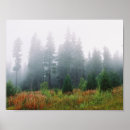 Recherche de pine forest posters Nature