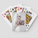 Recherche de anglais jeux de cartes Animal de compagnie