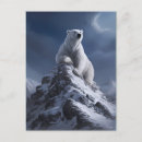 Recherche de ours polaires cartes postales Pour tous