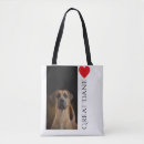 Recherche de de great dane Chien