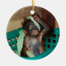 Recherche de charités Animal
