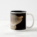 Recherche de cameleon tasses Faune