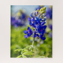 Recherche de texas puzzles Capot bleu