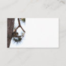 Recherche de écureuils cartes visite Nature