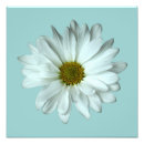 Recherche de marguerite posters Mignon