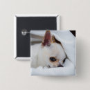 Recherche de personne de chien badges Mignon